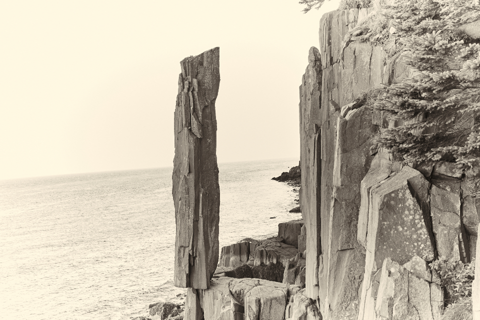 Coastal Rocky