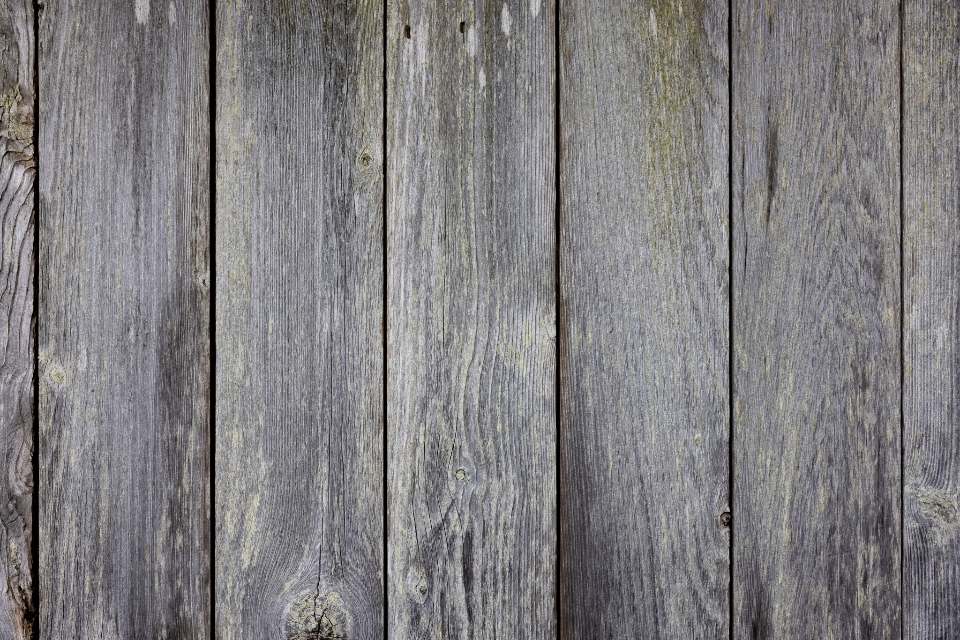 Wood Texture
