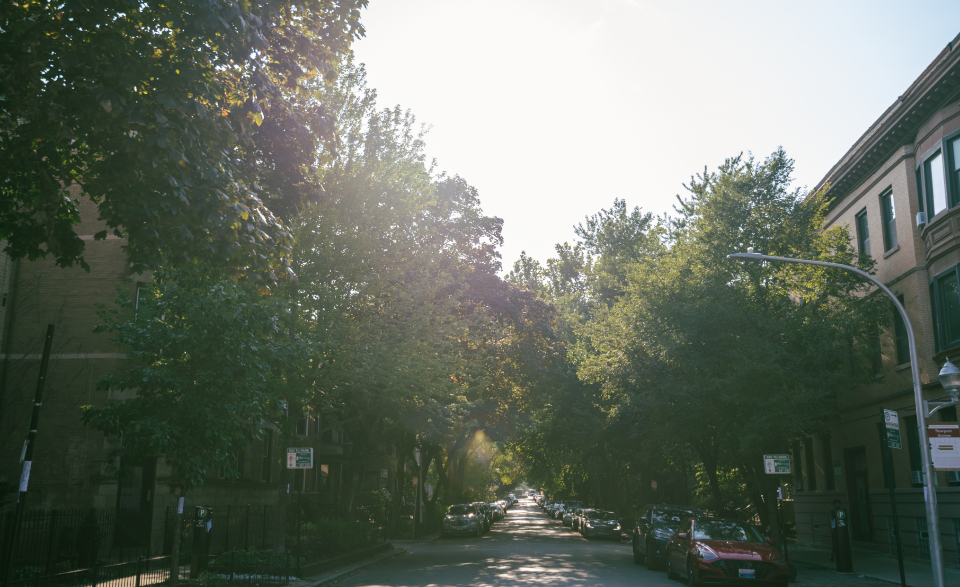 Sunlight Street
