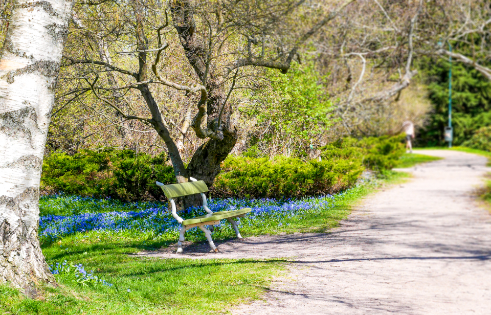 Spring Park