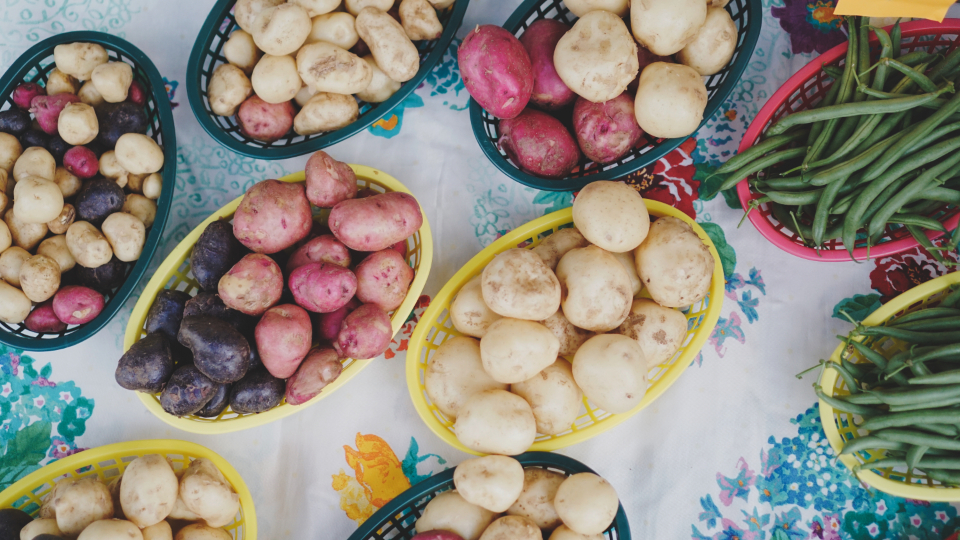 Beans Farm