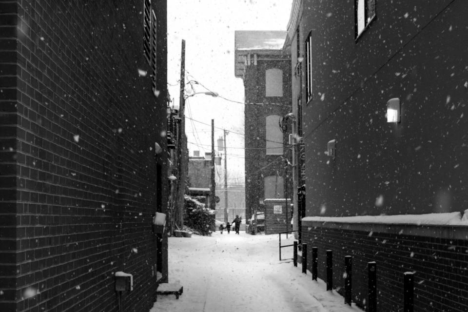 Snow Winter