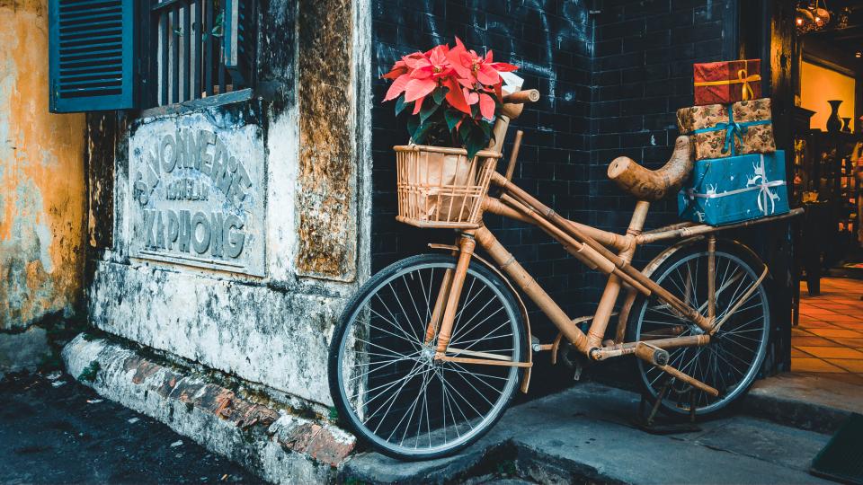 Transportation Bicycle