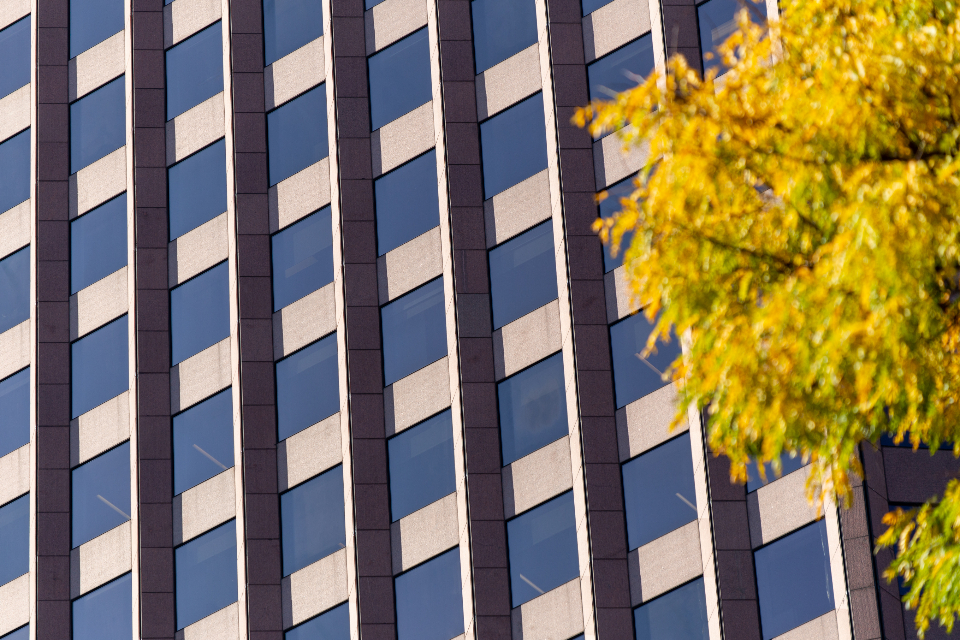 Office Windows