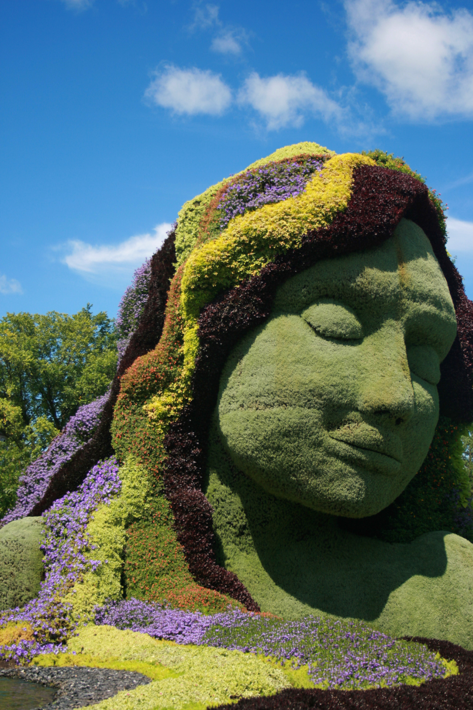 Garden Hedges