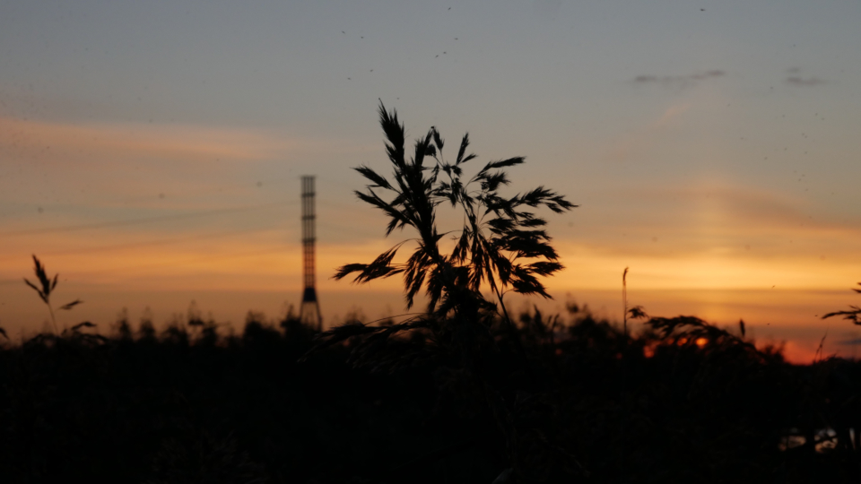 Evening Sky