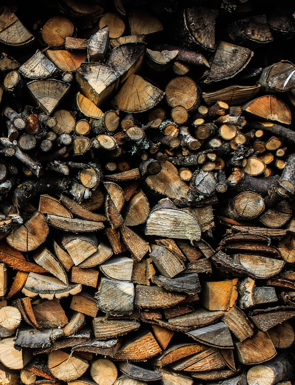 Firewood Fire
