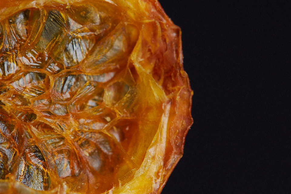 Fruit Slice