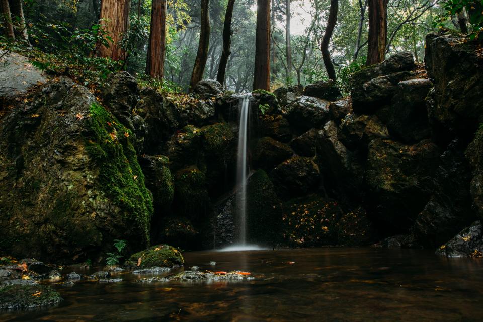 Stream Water