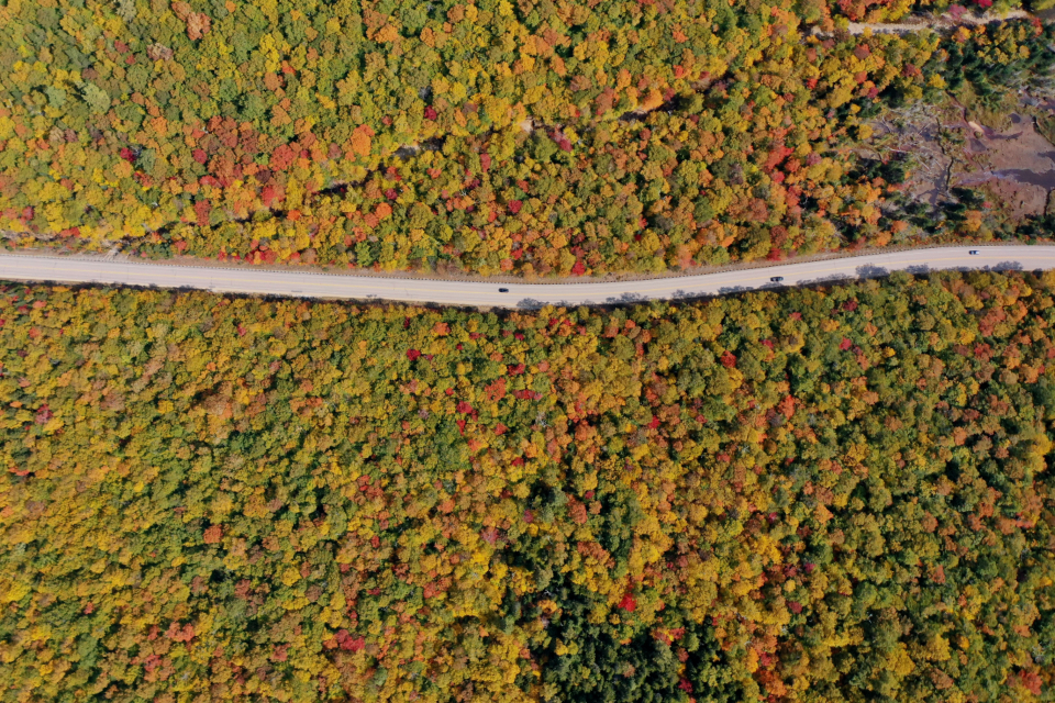 Autumn Aerial
