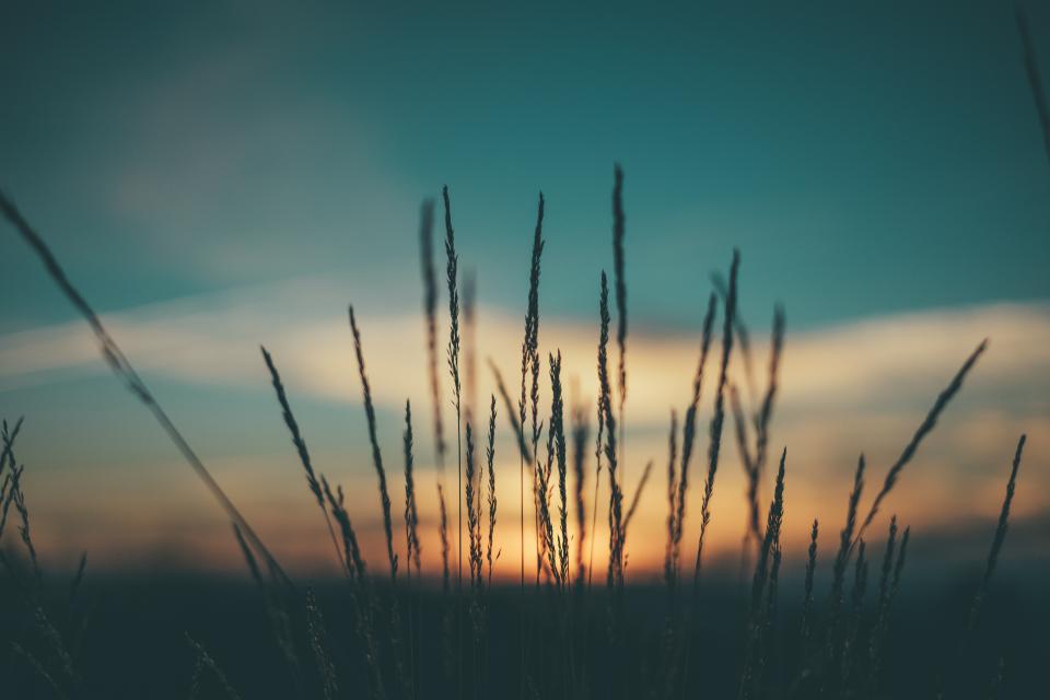 Dark Sunset