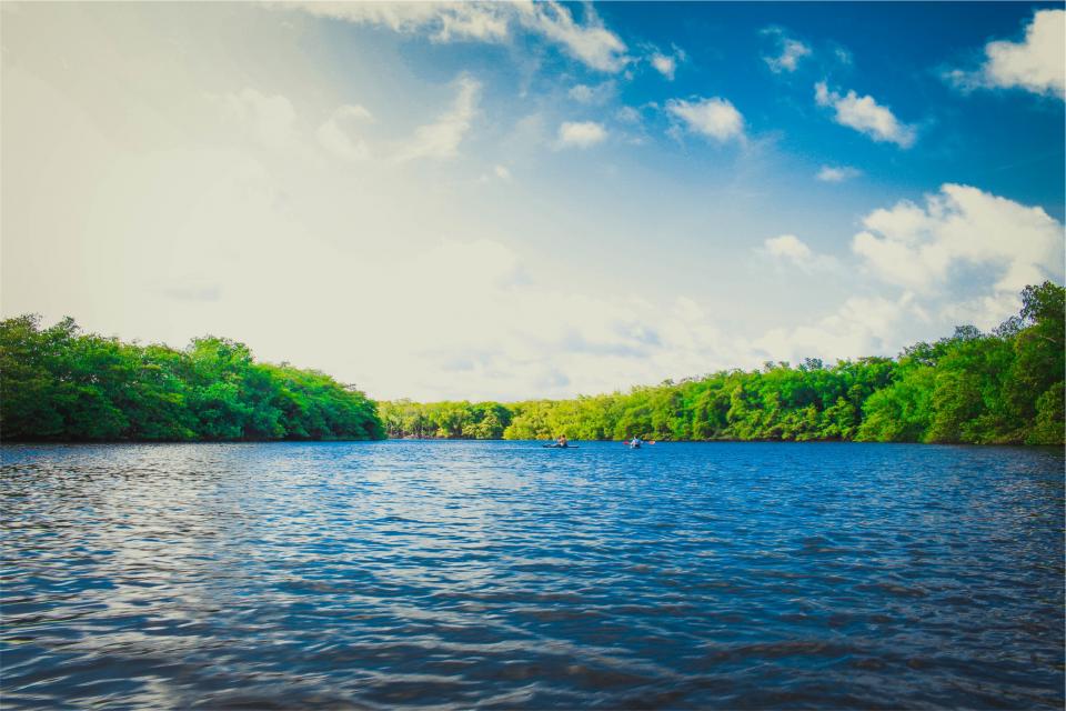 Lake Water