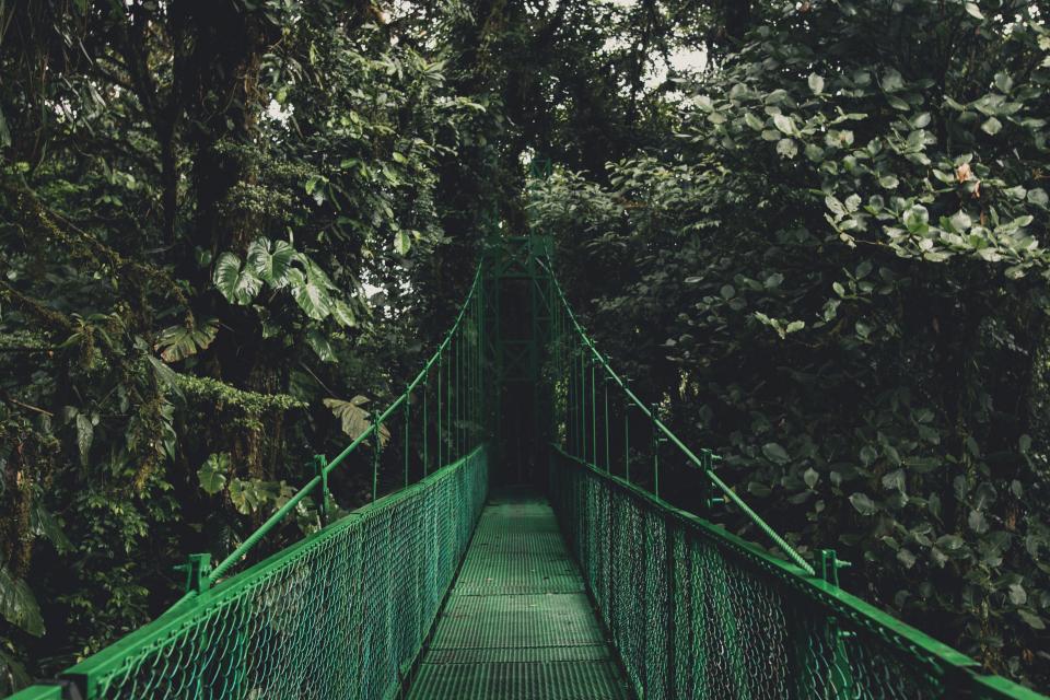 Green Trees