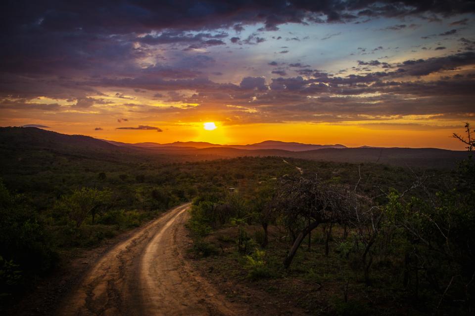 Nature Roads