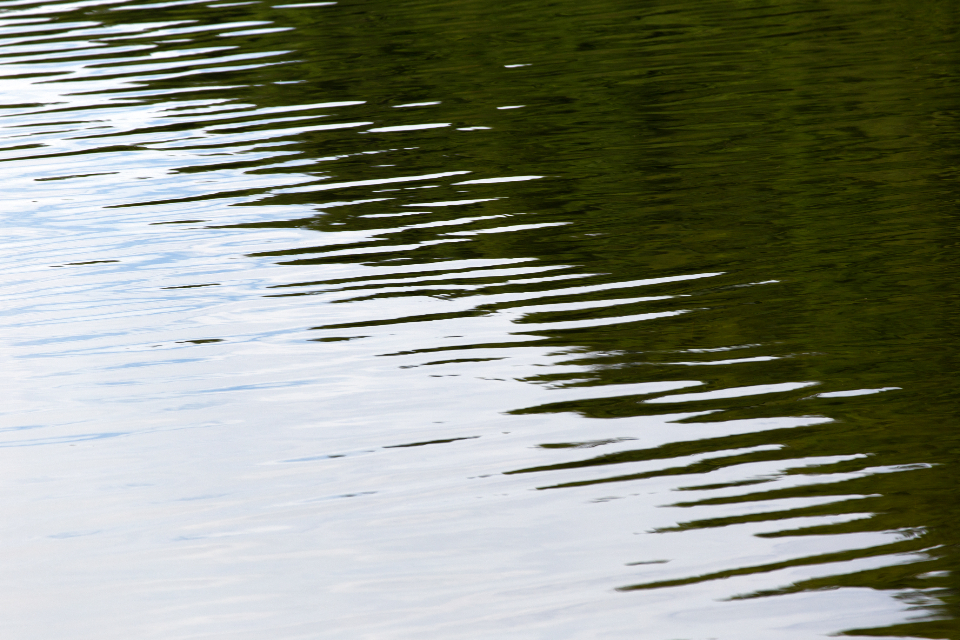 Lake Water