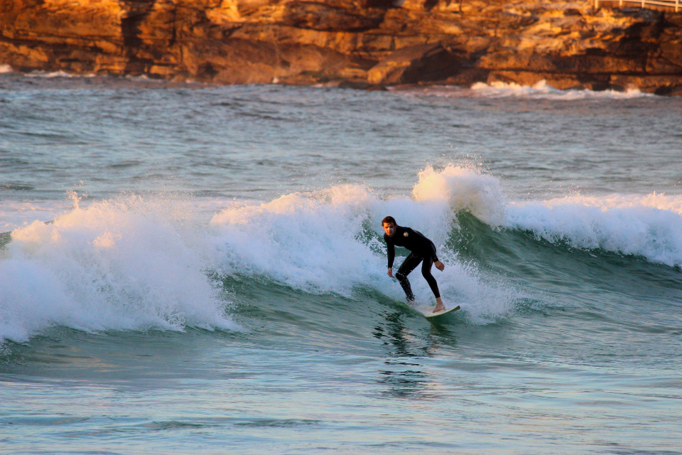 Surfer Wave