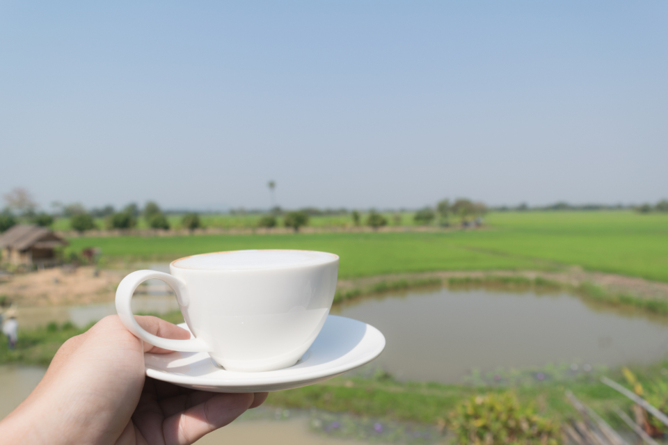 Coffee Cup