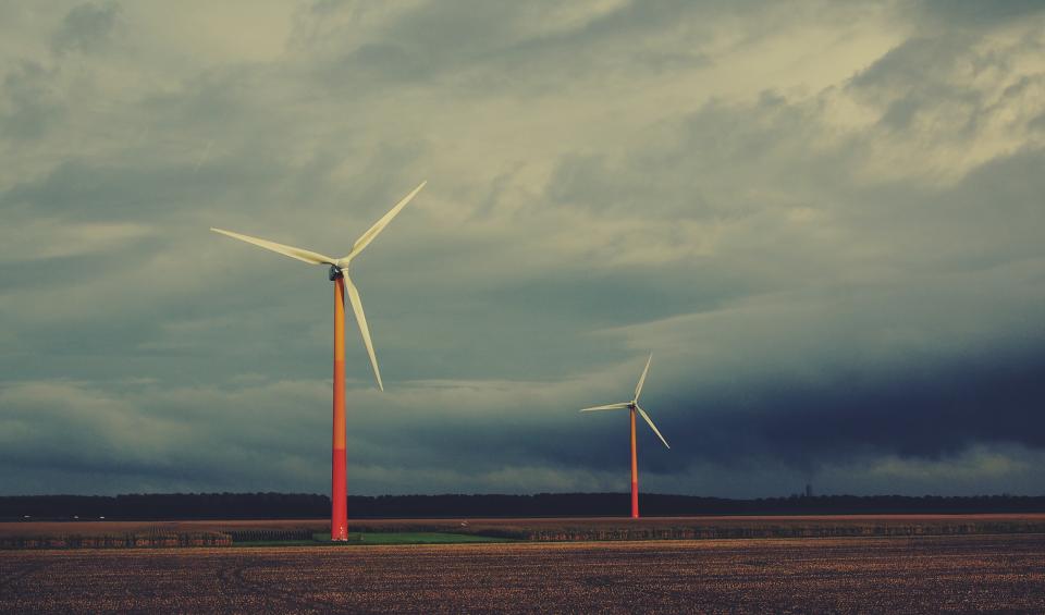 Windmills Fields