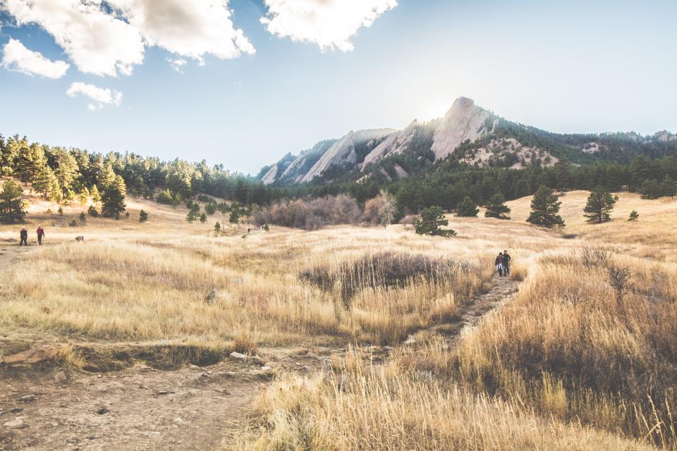 Nature Landscape