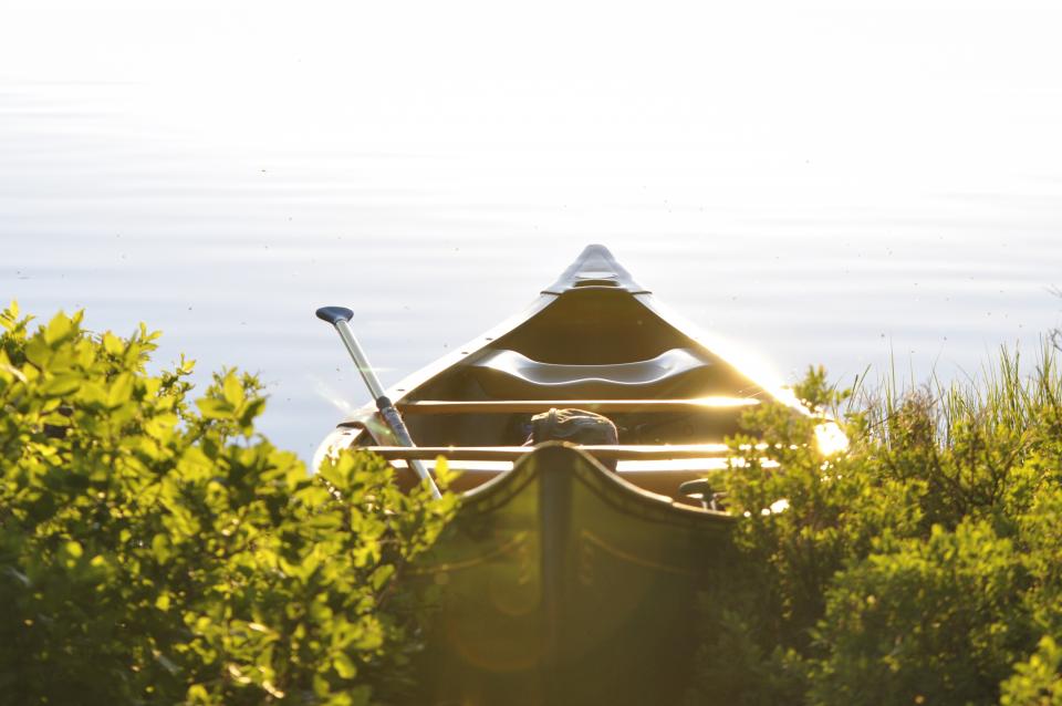 Sunny Lake