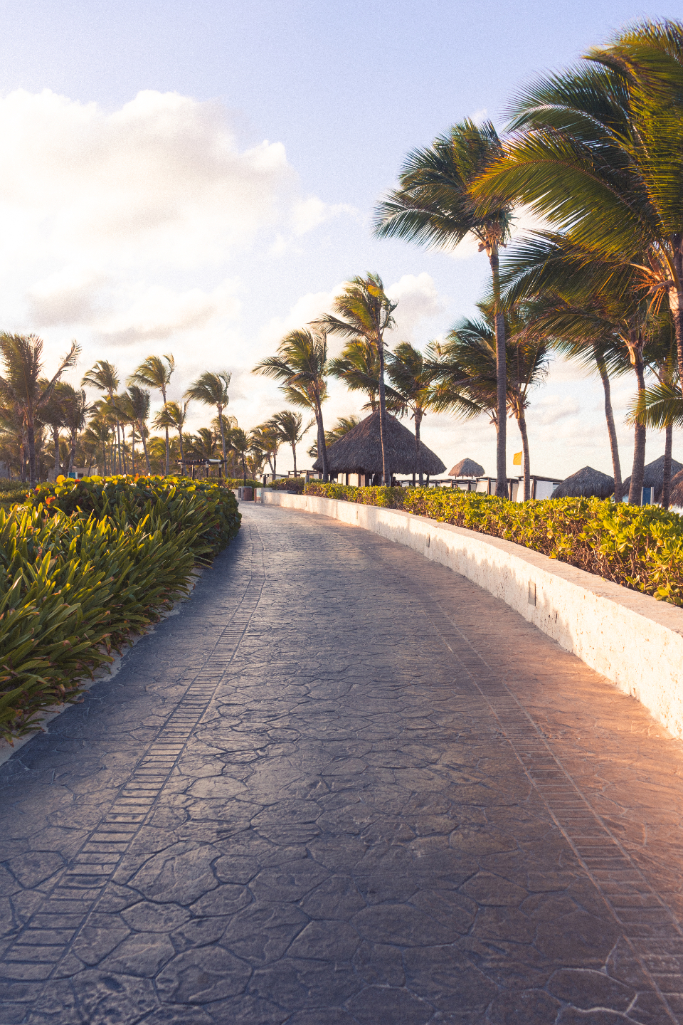 Tropical Road