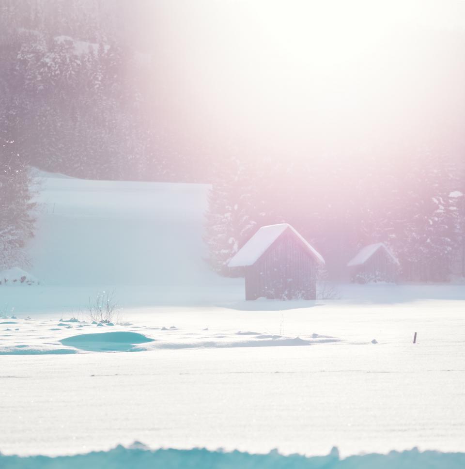 House Snow