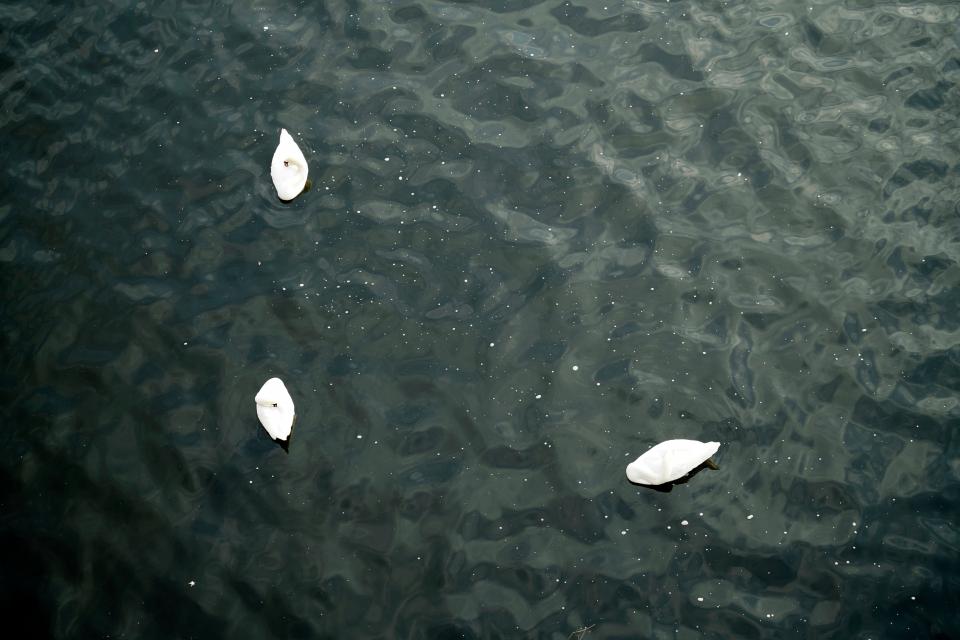 Sea River