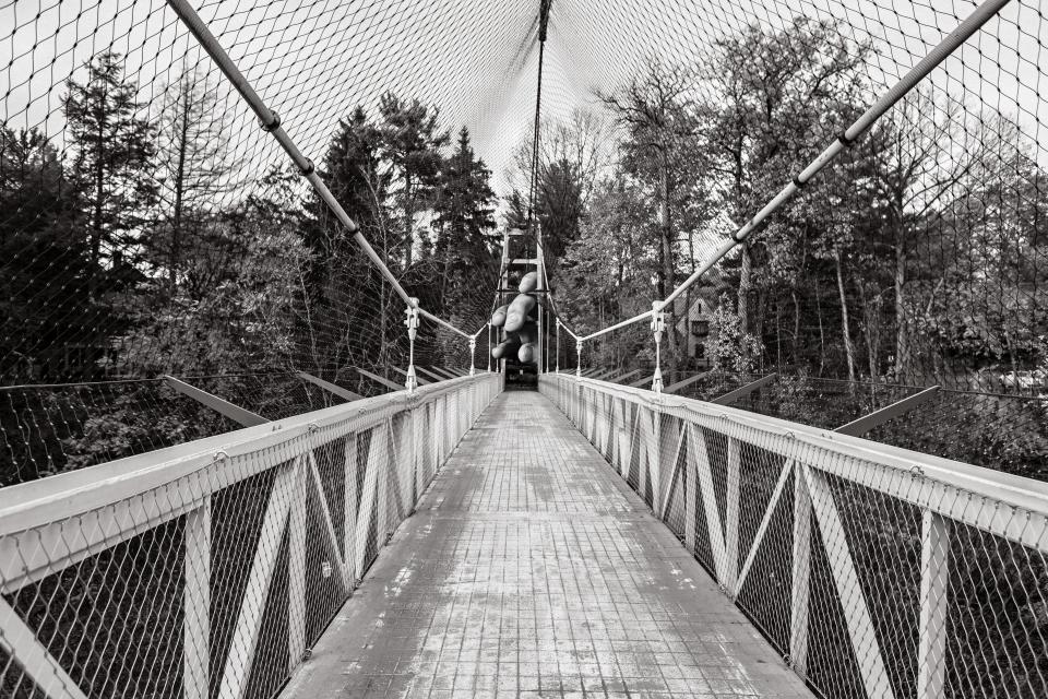 Wood Bridge