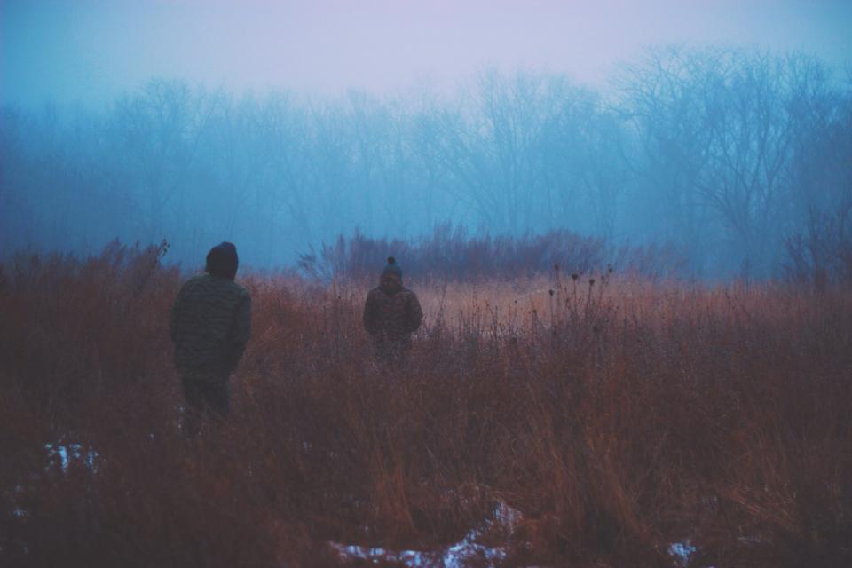 Dark Fog