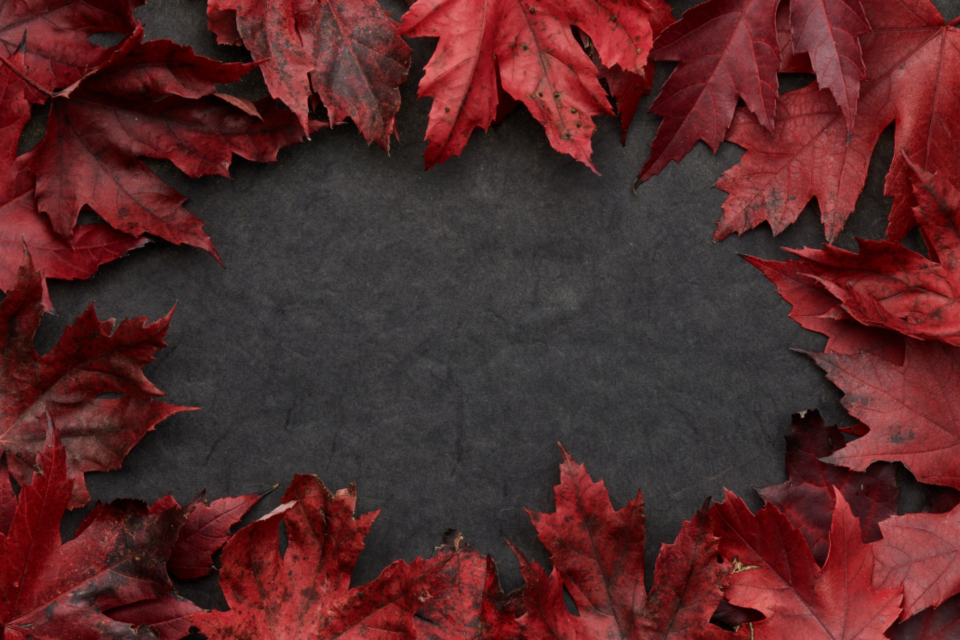 Background Leaves