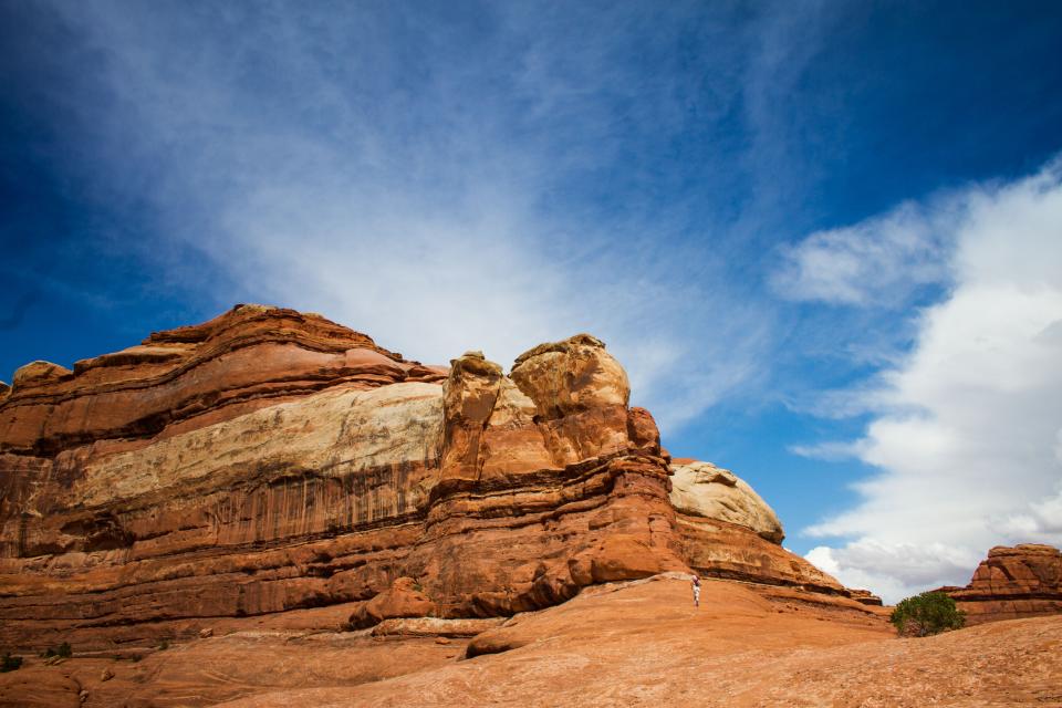 Desert Landscape