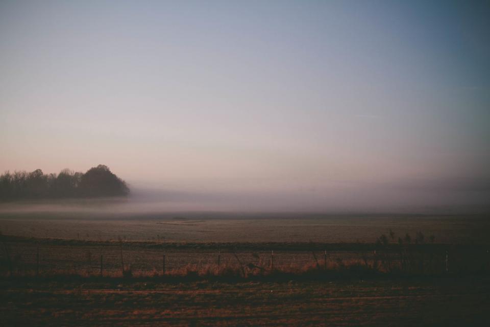 Fog Haze