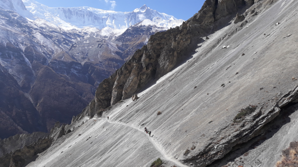 Nature Himalayas