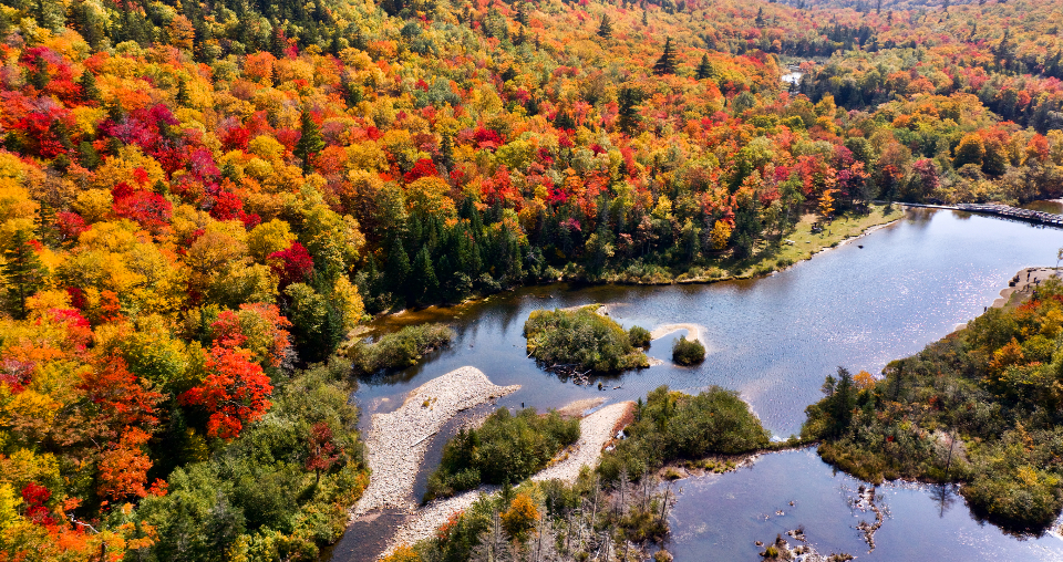 Autumn Aerial