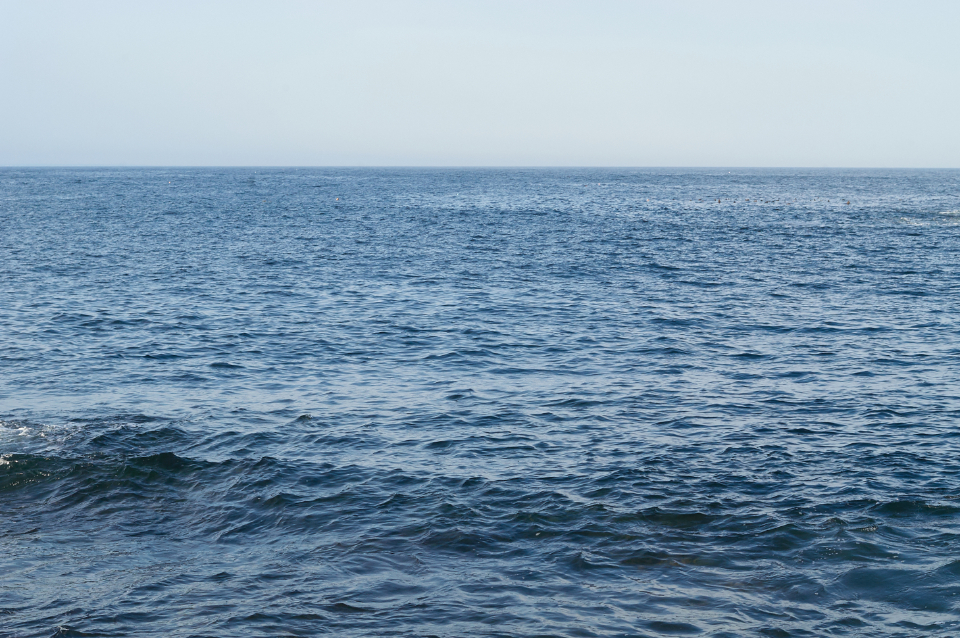 Ocean Wave