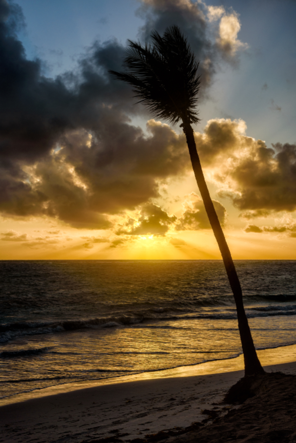 Tropical Beach