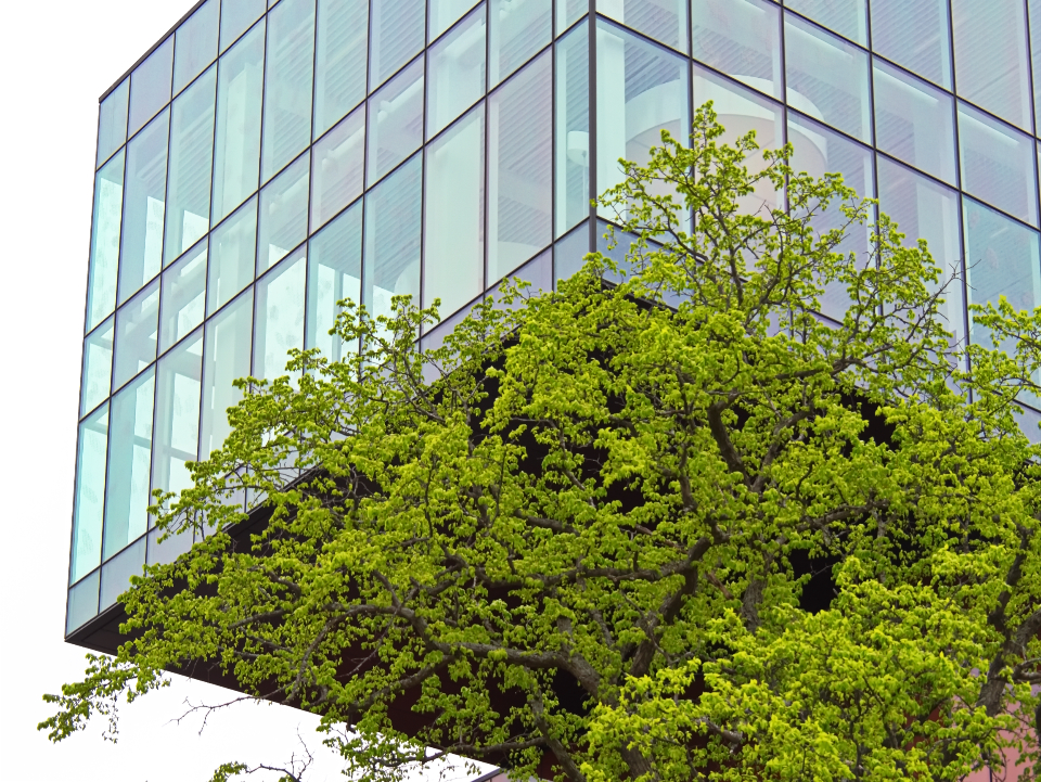 Modern Building