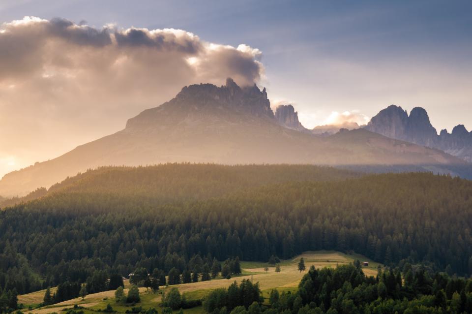 Mountains Trees