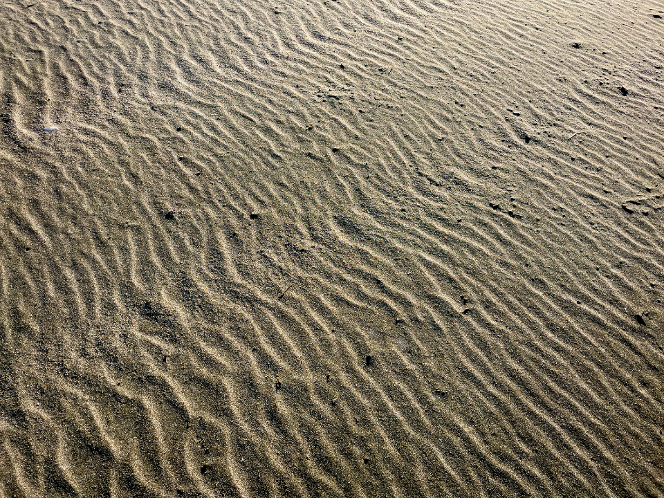 Sand Texture