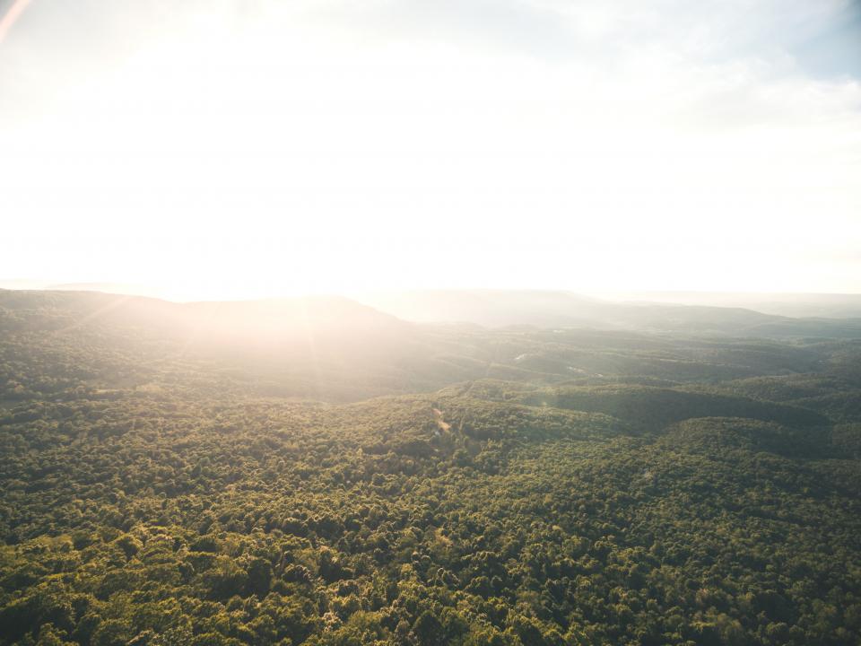 Nature Landscape