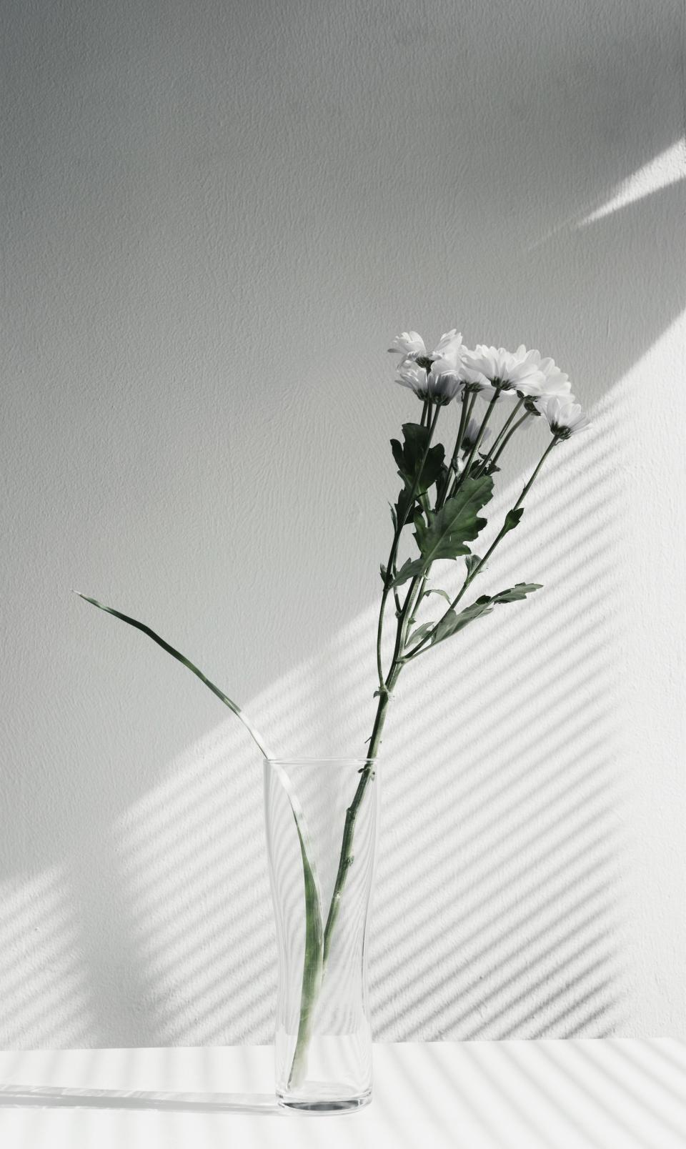 Flower Vase