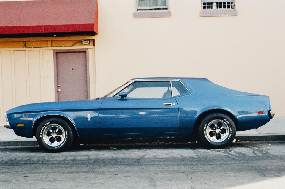Blue Mustang