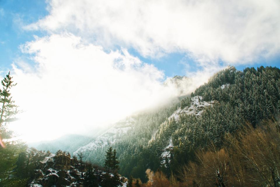 Nature Landscape
