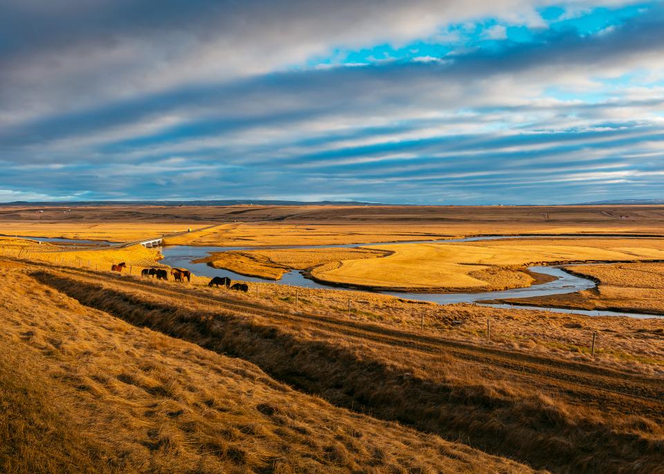Nature Landscape