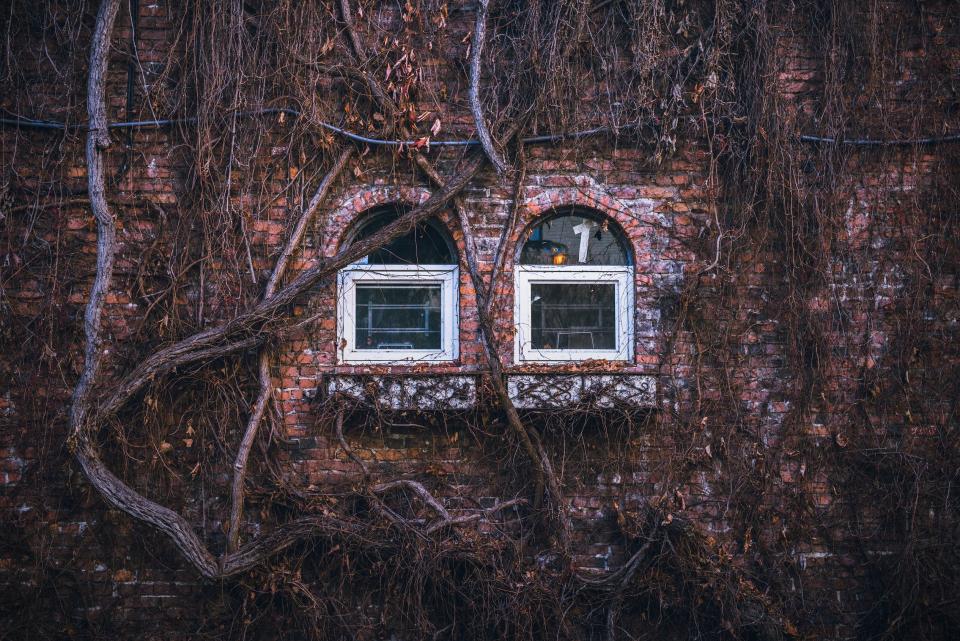 House Home