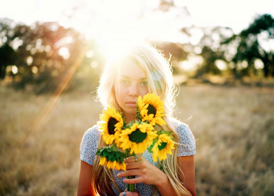 Sunflower Yellow