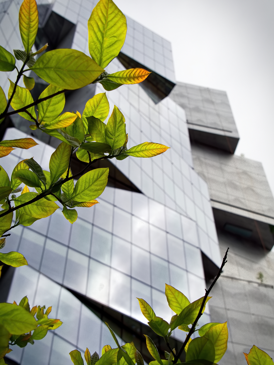 Modern Building