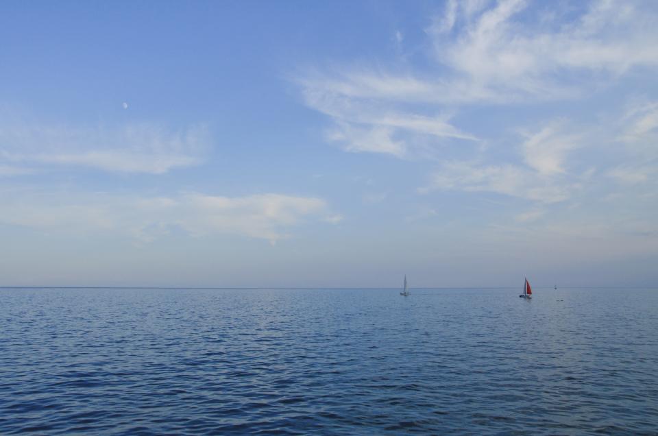 Sailboats Ocean