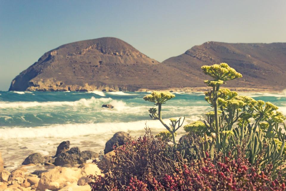 Coast Ocean