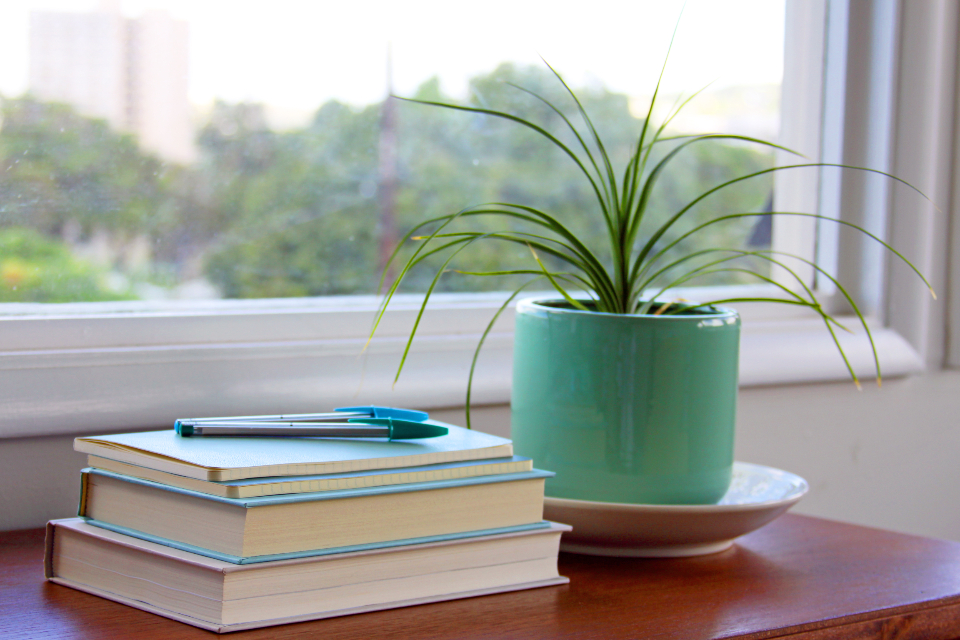 Book Interior